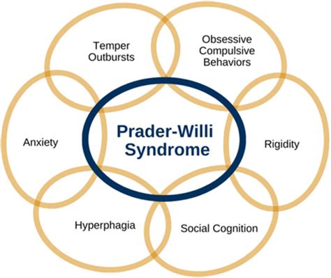 prada willi autism|Autism spectrum disorder in Prader.